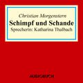 Schimpff und Schande