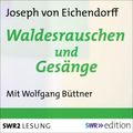 Waldesrauschen und Gesänge