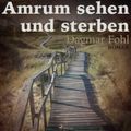 Amrum sehen und sterben (Ungekürzt)