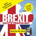 Brexit: What the Hell Happens Now?