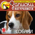 Собаки