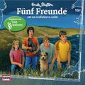 Folge 100: Fünf Freunde und das Gorillakind in Gefahr