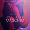 L'escort maschio - Letteratura erotica