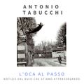 L'oca al passo