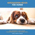 Beruhigende Musik für Hunde