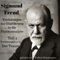 Vorlesungen zur Einführung in die Psychoanalyse (Teil 2)