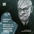 Vorlesungen zur Einführung in die Psychoanalyse