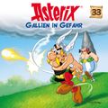 33: Gallien in Gefahr