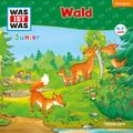 11: Im Wald