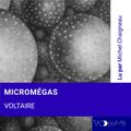 Micromégas