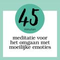 Omgaan met Moeilijke Emoties: Meditatie van 45 Minuten