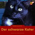 Der schwarze Kater