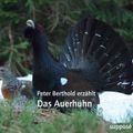 Das Auerhuhn