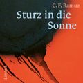 Sturz in die Sonne