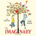 The Imaginary