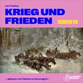 Krieg und Frieden (Sechster Teil)