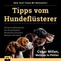 Tipps vom Hundeflüsterer