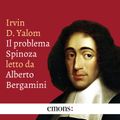 Il problema Spinoza