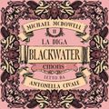 La diga. Blackwater 2