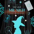 Mr. Nigh 2 (Ermittlerin und Nekromant)