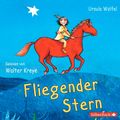 Fliegender Stern