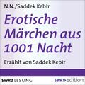 Erotische Märchen aus 1001 Nacht