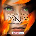 Die Tribute von Panem 3. Flammender Zorn