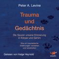 Trauma und Gedächtnis