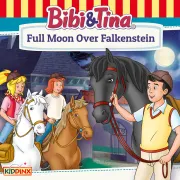 Cover of Full Moon Over Falkenstein by Bornstädt, Matthias von