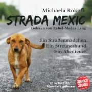 Cover of Strada Mexic by Rokoss, Michaela