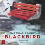 Cover of Blackbird by Brandt, Matthias