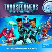 Cover of Folge 17: Irrungen und Wirrungen / Ein fast perfekter Foto-Termin (Das Original-Hörspiel zur Serie) by Prestin, Maike