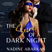 Cover von The Secret of a Dark Night von Abarkan, Nadine