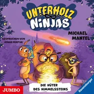 Unterholz-Ninjas. Die Hüter des Himmelssteins [Band 2]