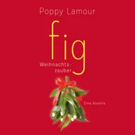 fig – Weihnachtszauber