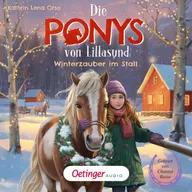 Die Ponys von Lillasund 3. Winterzauber im Stall