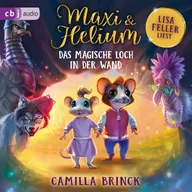 Maxi & Helium – Das magische Loch in der Wand