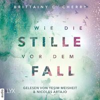 Wie die Stille vor dem Fall. Zweites Buch - Chance-Reihe, Band