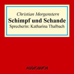 Schimpff und Schande