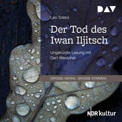 Der Tod des Iwan Iljitsch