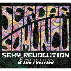 Serdar Somuncu, Sexy Revolution & The Politics