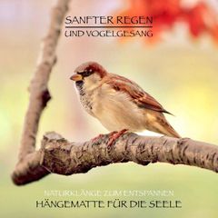 Sanfter Regen und Vogelgesang – Naturklänge zum Entspannen