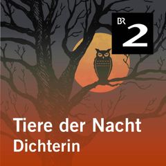 Tiere der Nacht: Dichterin