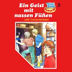 Ein Geist mit nassen Füßen (oder Computerdiebe)