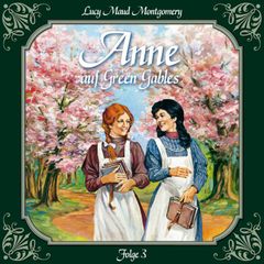 Anne auf Green Gables, Folge 3: Jede Menge Missgeschicke