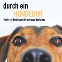 Durch ein Hundeohr - Entspannungsmusik für Hunde