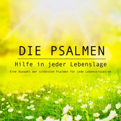 Die Psalmen: Hilfe in jeder Lebenslage