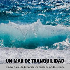 Un mar de tranquilidad: el suave murmullo del mar con una calidad de sonido excelente