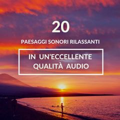 ambiente rilassante per il sonno, meditazione, sonno profondo: 20 paesaggi sonori rilassanti in un'eccellente qualità audio