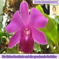 Rosalinda und die sprechende Orchidee